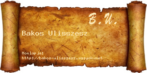 Bakos Ulisszesz névjegykártya