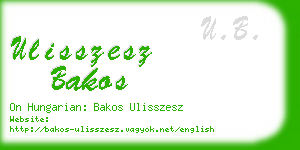 ulisszesz bakos business card